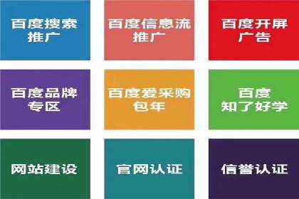 企业案例：SEM推广代运营成果展示